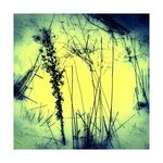 photo art