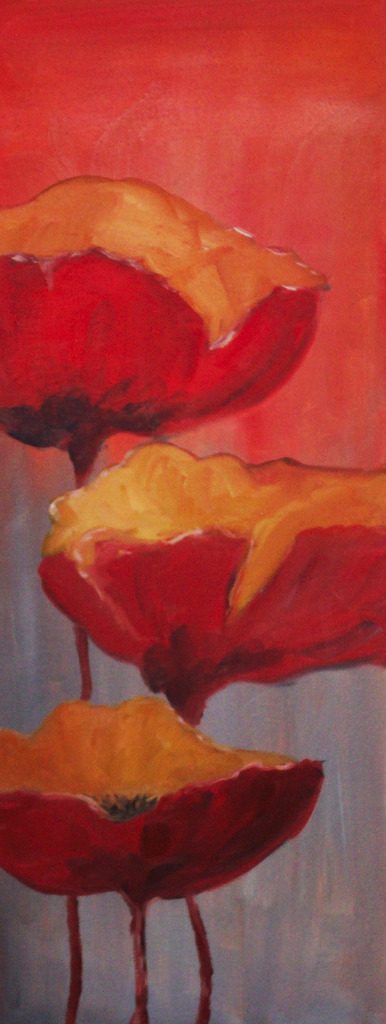 Papavers