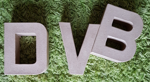 Schilderijen die niet onder een specifieke noemer vallen