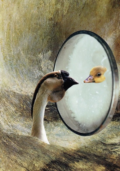 The goose