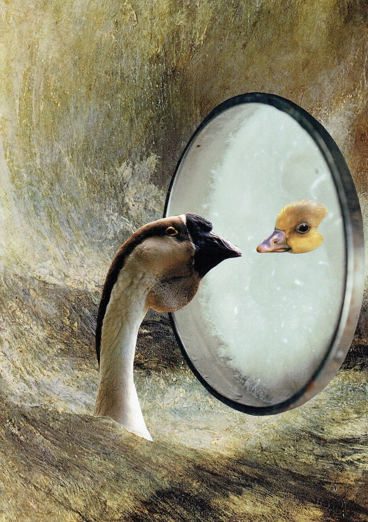 The goose