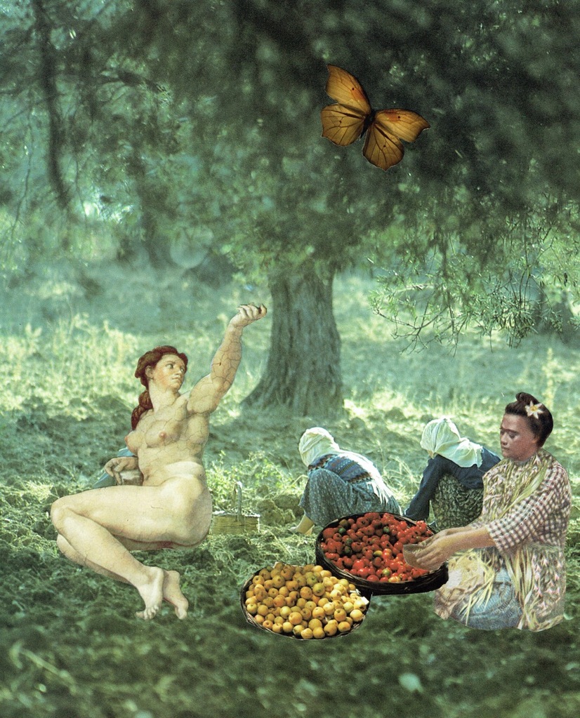 De picknick