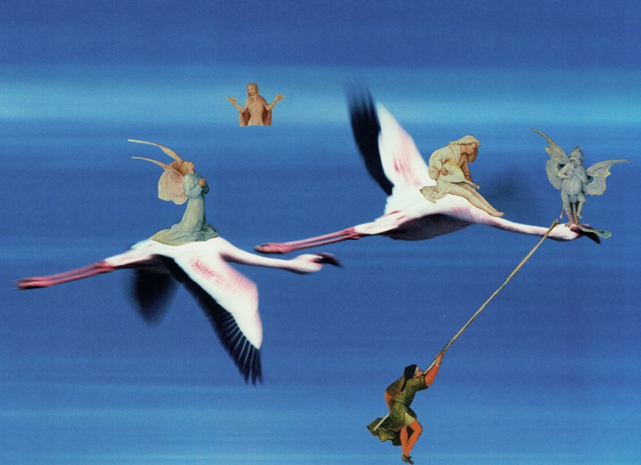 Droomvlucht