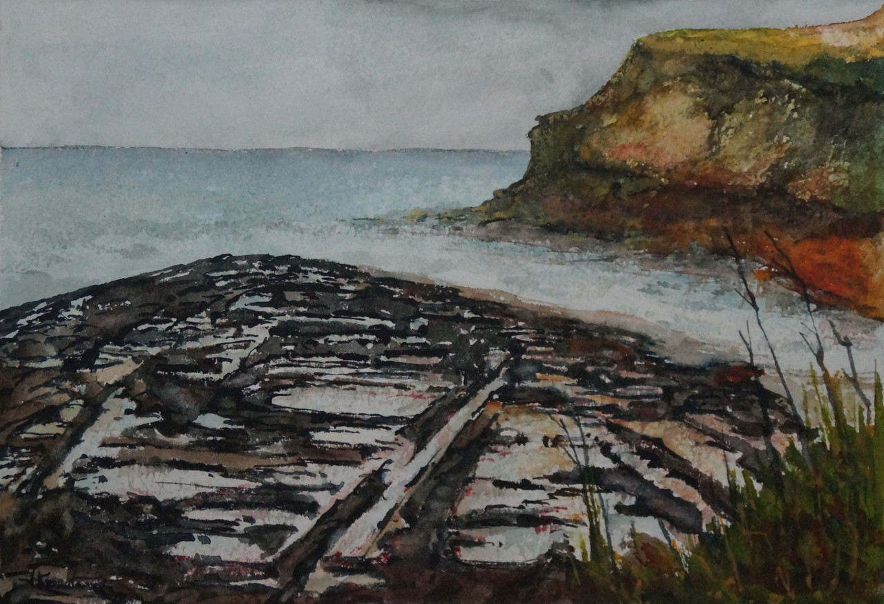 The Catlins - Petrified Forest