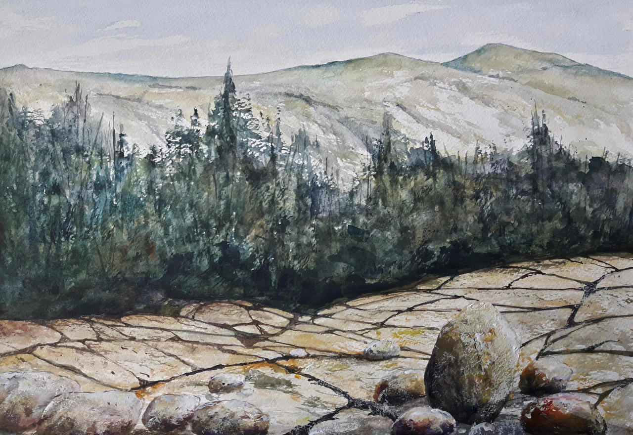 Olmsted Point