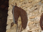 kikker, rat, egel, reiger, uil, kraai, paardenkop,...