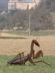 insecten in ijzerdraad
