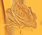De bloemen suggereren het aanzien van een ets. Door de dieptewerking en het nivoverschil is het zelfs fraaier.