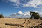 landschap
