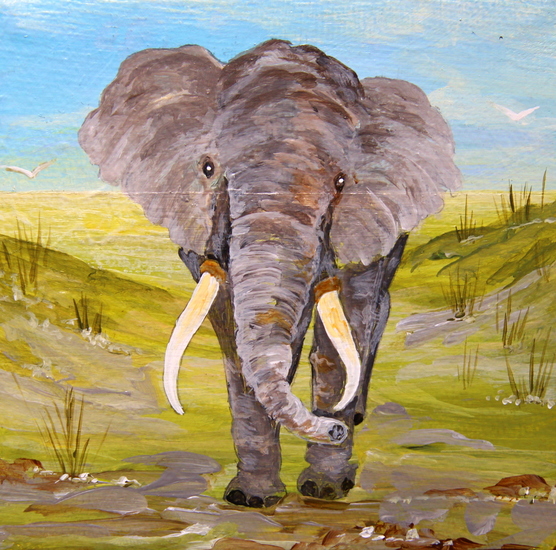 Afrikaanse Olifant