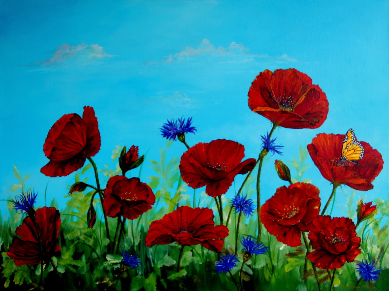 Klaprozen en Korenbloemen
