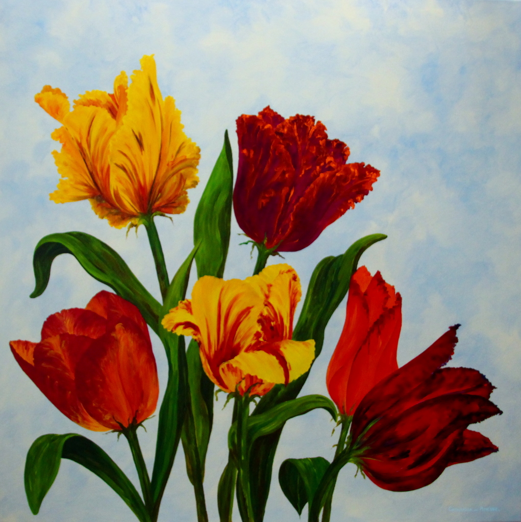 Tulpen uit Maasgouw