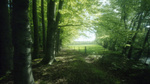 Pinhole foto's gemaakt met een zelfgebouwde kartonnen camera, op kleinbeeldfilm