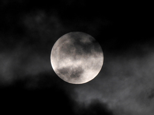 De maan is voor mij een bijzonder lichtpunt aan de donkere hemel. Als kind zat ik voor de TV toen Neil Armstrong zijn voet op de maan zette en sindsdien heb ik een band met de maan. Ik heb nu een Nikon P900 waarmee in de maan beeldvullend kan fotograferen.