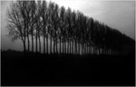 Pinhole fotografie is misschien wel de oudste vorm van fotograferen. Zonder een lens komt er een beeld op een lichtgevoelige achtergrond.