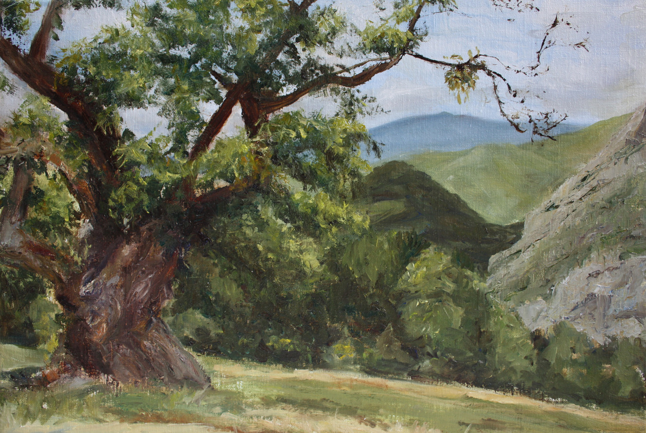 Le chataignier des bellieux