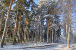 De winter, zorgt vaak voor sprookjesachtige taferelen. Na de herfst weer een nieuwe periode van inspiratie.