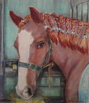 Ook de dieren hebben voor mij een schilderachtig uiterlijk.