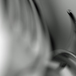 zwart/wit