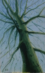 Op dit gedeelte van mijn site laat ik enkele werken zien met daaarop het onderwerp 'bomen'. Het is een erg dankbaar object om te schilderen,meestal werk ik in olieverf en soms in acryl.