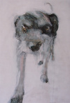 Basje is mijn hond. Eigenlijk mijn verrassingshond; ik ging voor een Stabijtje, maar het bleek meer dan dat; beetje Stabij, beetje Poedel, beetje Terrier en een beetje Mens.