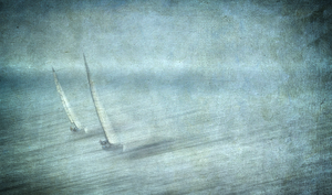 Fijne bewerkingen op natuurbeelden