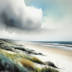 Nederlandse kust