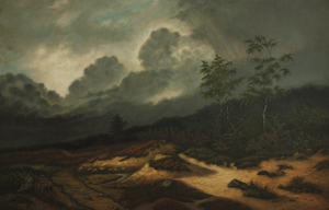 Schilderijen naar eigen idee, thema en fantasie.