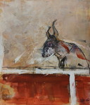 courses camarguaises