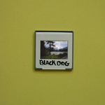 BLACK DOG IS A BOOK/ INSTALLATION/ PERFORMANCE ABOUT A BLACK DOG BY MARJAN BUNING BLACK DOG ARE SLIDES WITH A WOMAN AND A BLACK DOG THE PHOTOGRAPHER IS UNKNOWN HERE YOU CAN SEE SOME PAGES FROM THE BOOK BLACK DOG