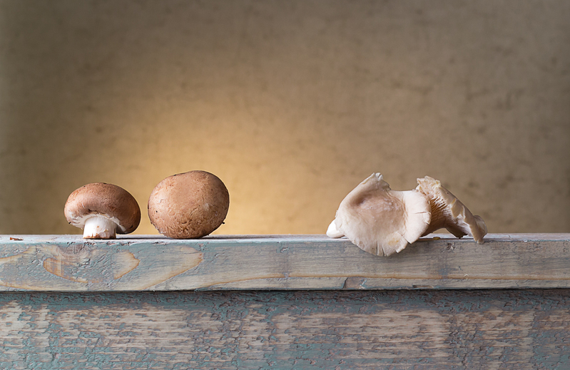 Paddenstoelen