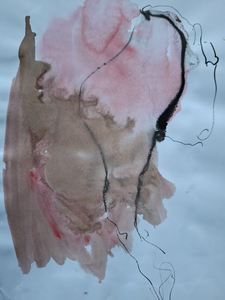 Snel Schetsen m.b.v. rietpen, water, inkt, bister en soms beetje aquarel verf.