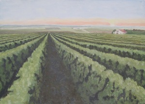 Wijngaarden in Frankrijk