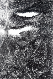 Dit zijn experimentele inkt tekeningen en werken naar 
de natuur.