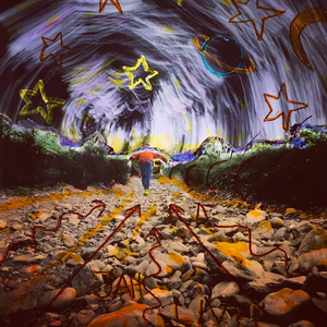 Michaël is gestart als kunstfotograaf. Deze werken zijn allemaal uit deze beginperiode. Ze zijn afgedrukt op zilverbromide fotopapier en als enkele afdruk. De werken worden afgeleverd, ingekaderd in een aluminium kader achter glas.