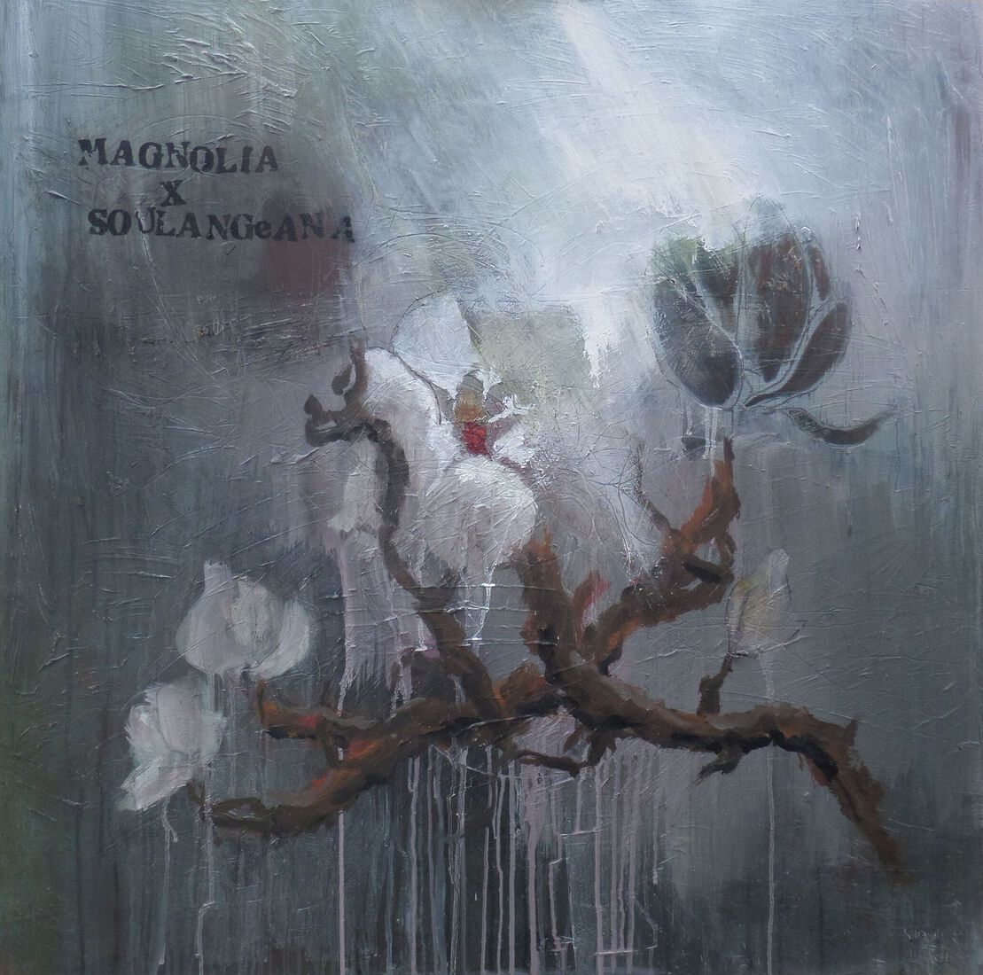 Magnolia X Soulangeana