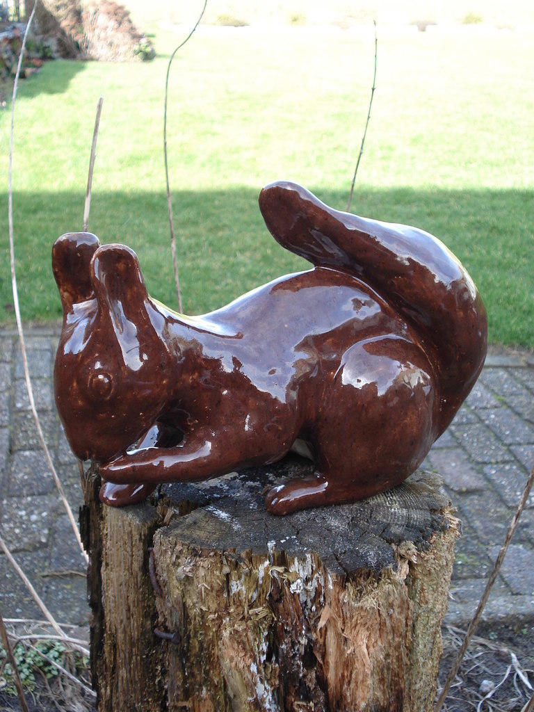 Eekhoorn
