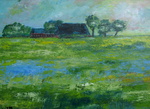 landschap, veelal in de achterhoek en groningen