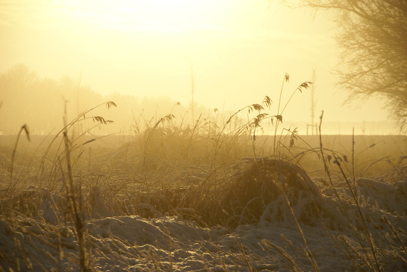 Winterdromen