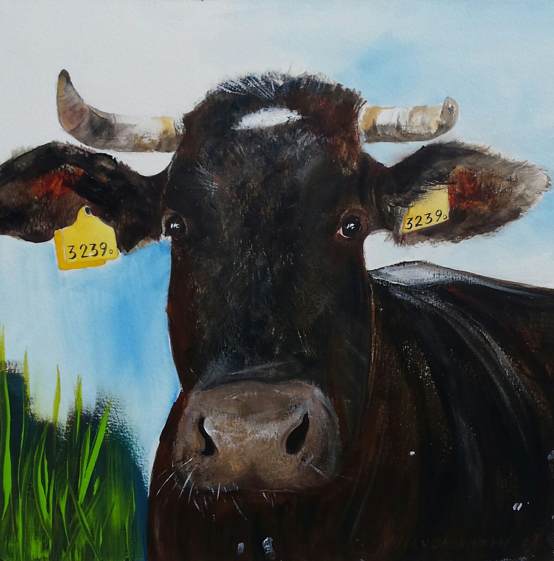 Koeien portret nr. 3