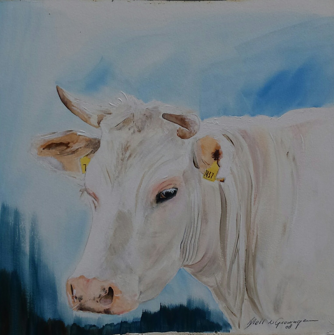 Koeien portret nr. 2