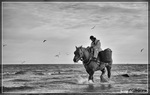 Enkele opnamen genomen aan zee.