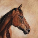 Portretten van paarden