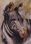 afrikaanse dieren