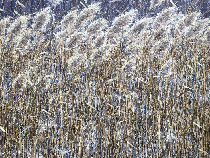 Wuivend riet