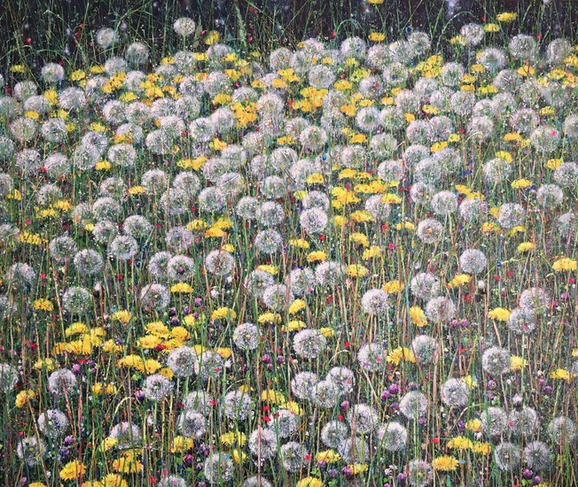 Paardenbloemen