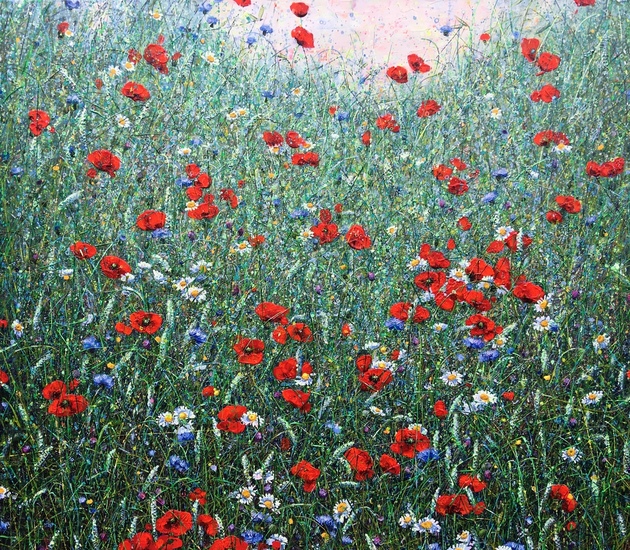 Field of dreams