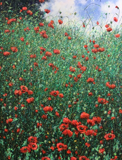A lot of poppies this summer