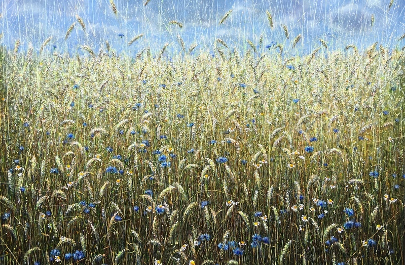 Cornfield