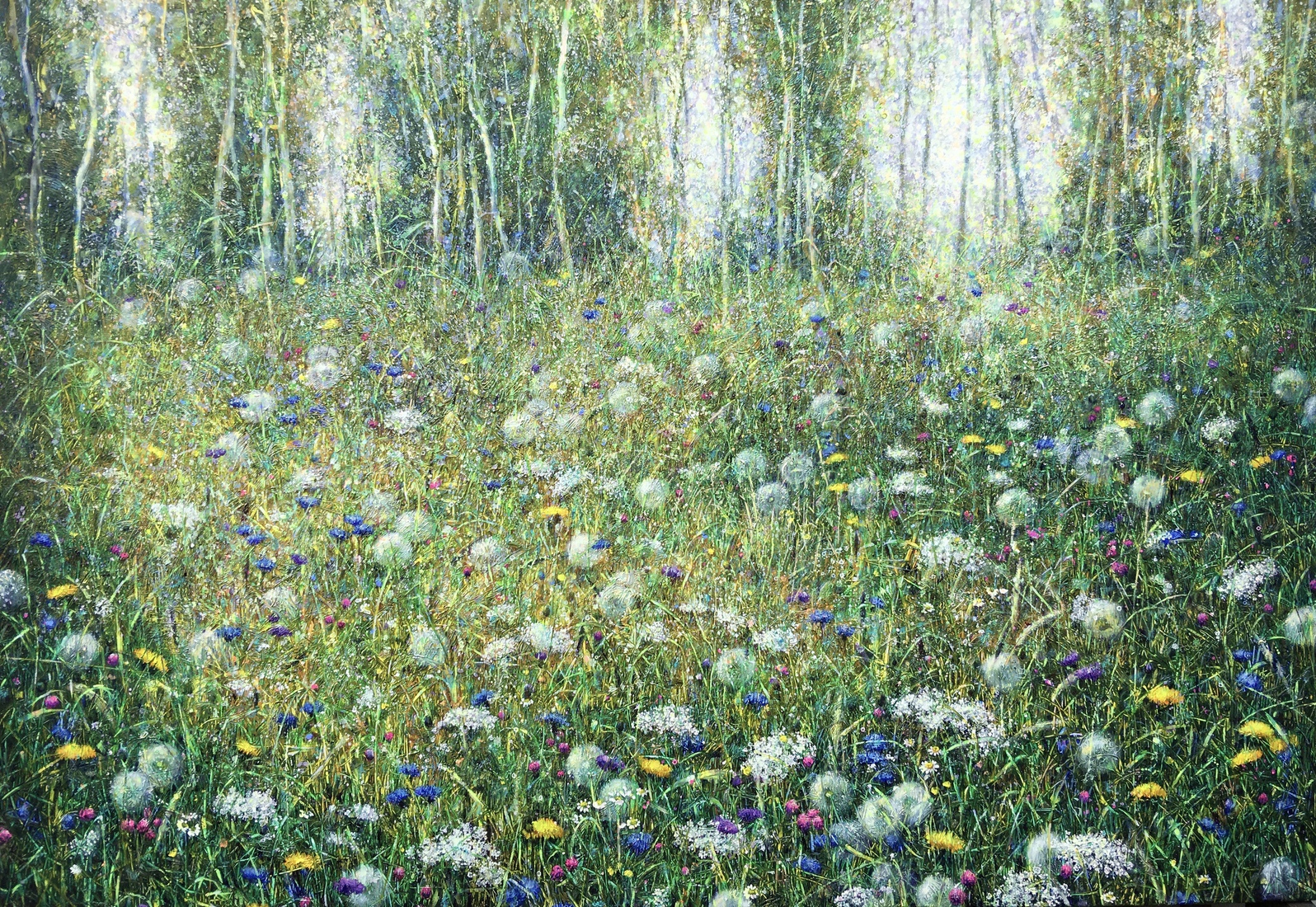 Through the morning meadow